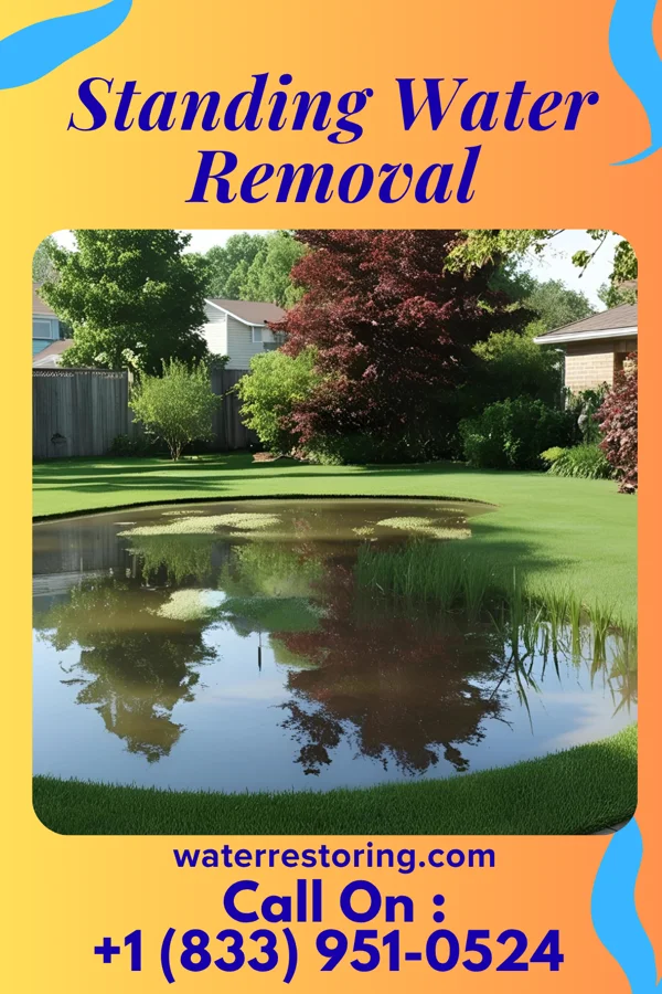 Standing Water Removal in Randall, KS